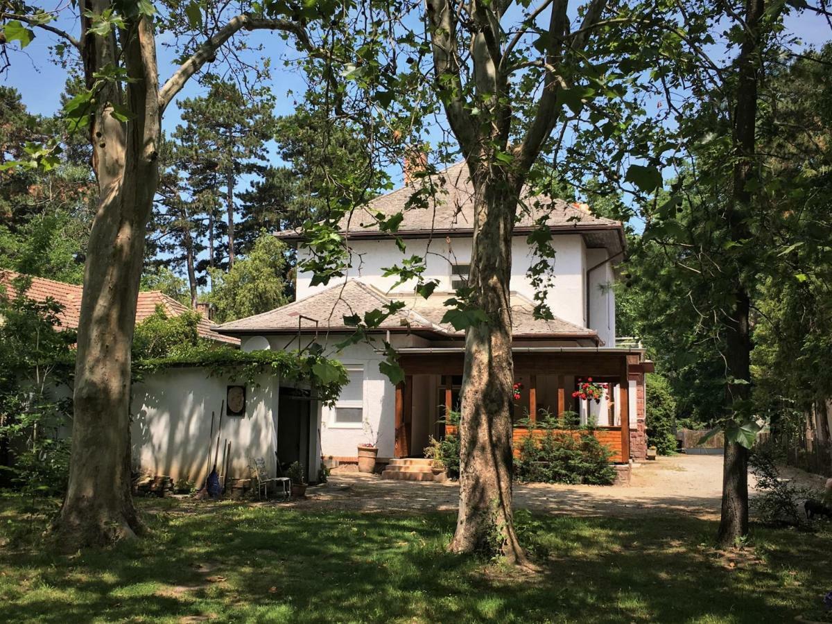Honvéd apartmanház Balatonlelle Exterior foto